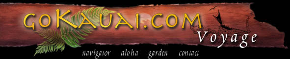 Welcome to the Voyage - Go Kauai Adventures